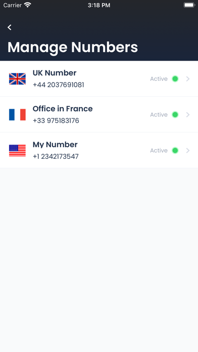 CCAgents – Mobile2CRM Solution screenshot 4