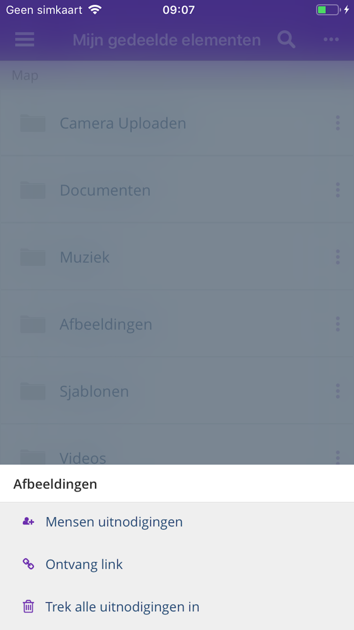Drive van Mijndomein
