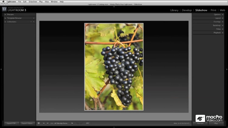 Early Course for Lightroom 3