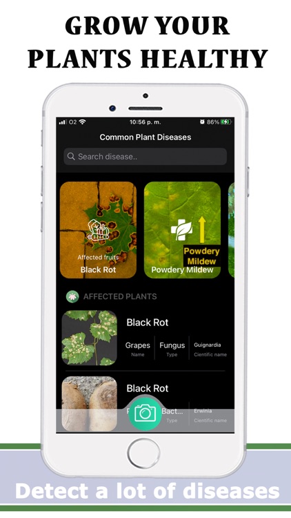 Plants Diseases Identifier