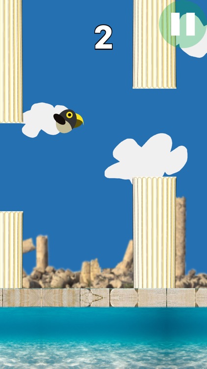 FlappyCondor