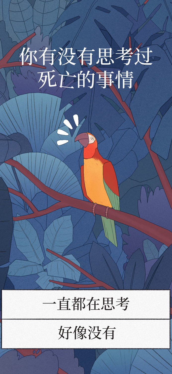 孤独的鸟儿 - 敞开心扉 不再孤独