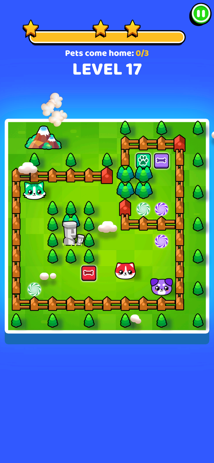 Pets Escape Dogs  Cats