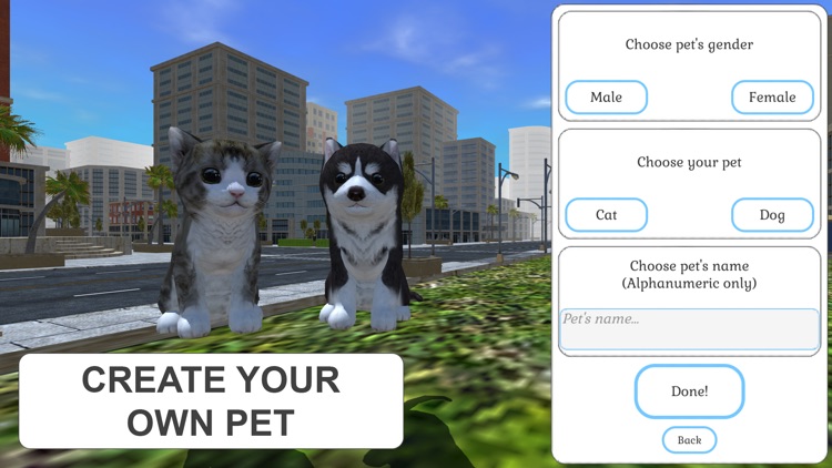 Cute Cat And Puppy World