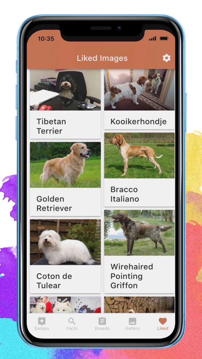 Doginder - Dog Encyclopedia