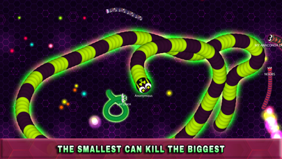 Worm.io - Slither War On Paper 1.1.3 IOS -