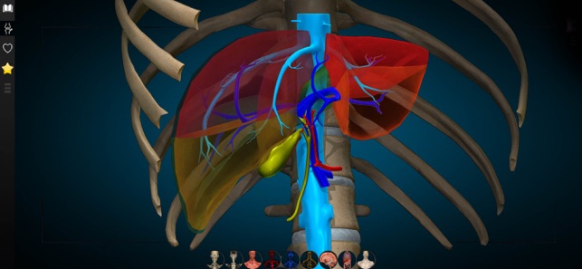 3 d anatomy app for mac