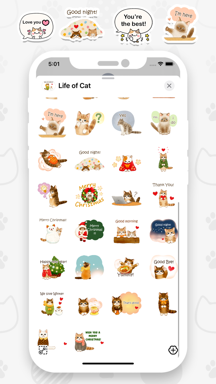 Life of Cat Animated