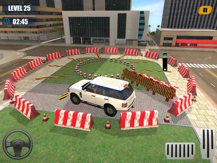 Prado Car Parking School Drive