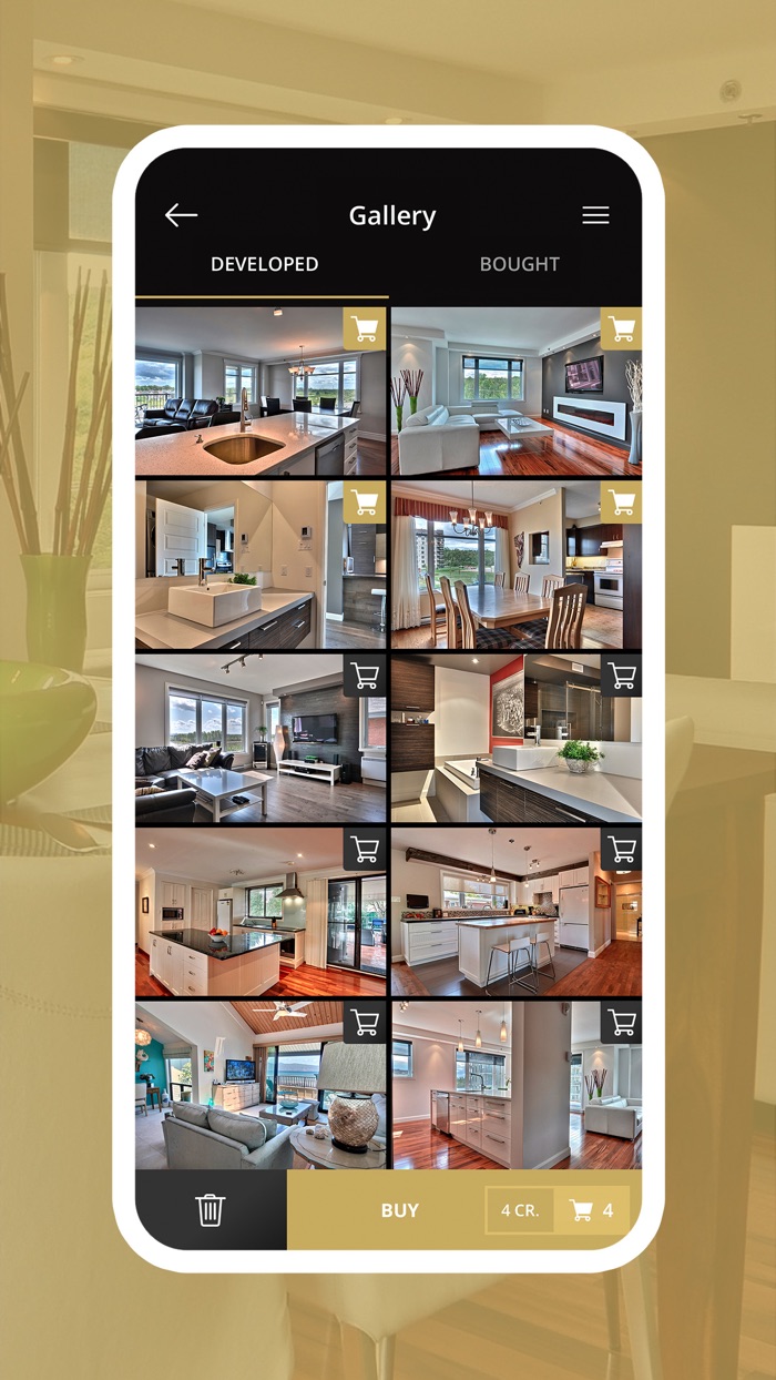 Realty ONE Group Camera