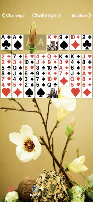 FreeCell Solitaire ▫(圖5)-速報App