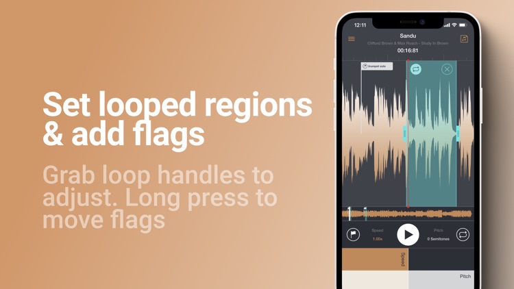 Transcribe+ Slow Down Music