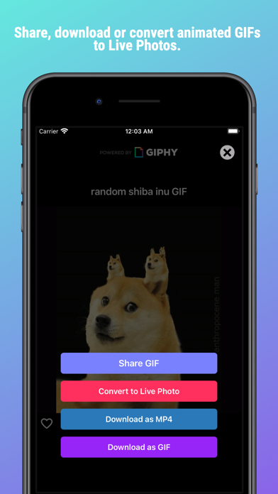 GifSkip: Search & Share Gif Screenshots