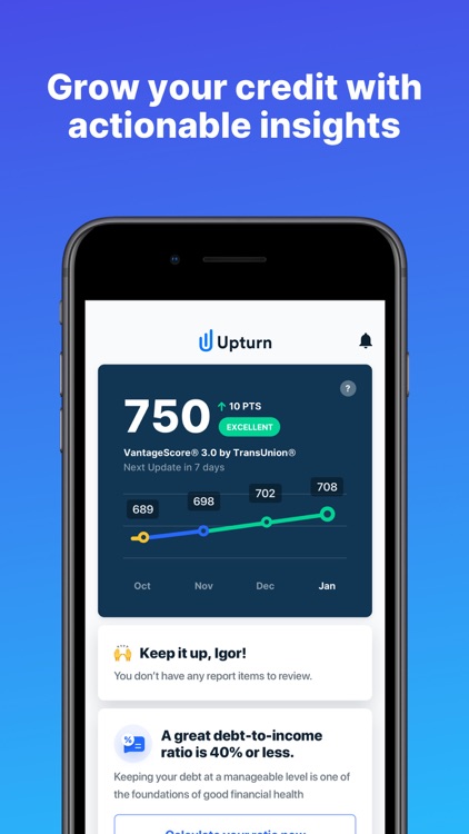 Upturn: Credit Report Disputes