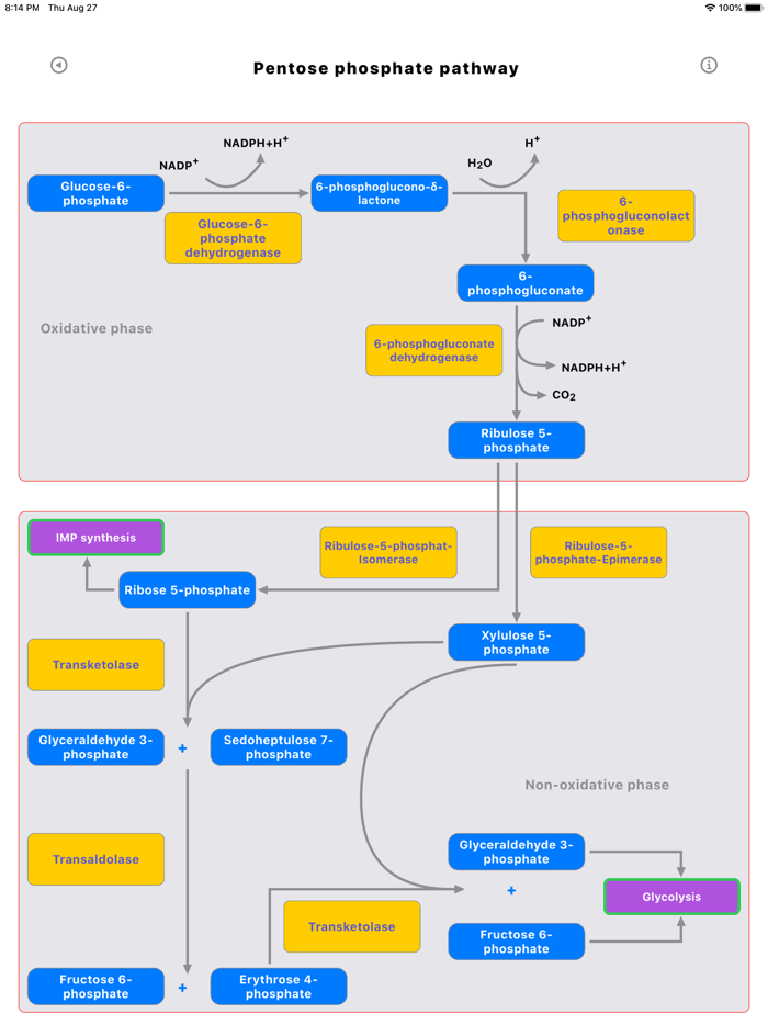 Metabolic Organs