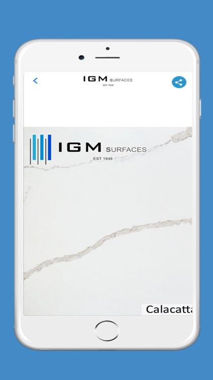 IGM Surfaces