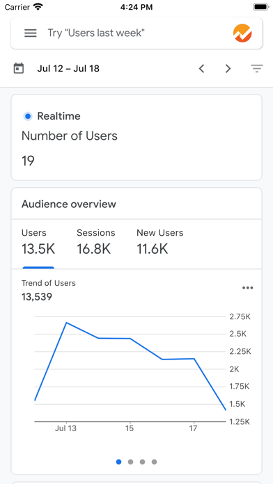 Google Analytics screenshot1