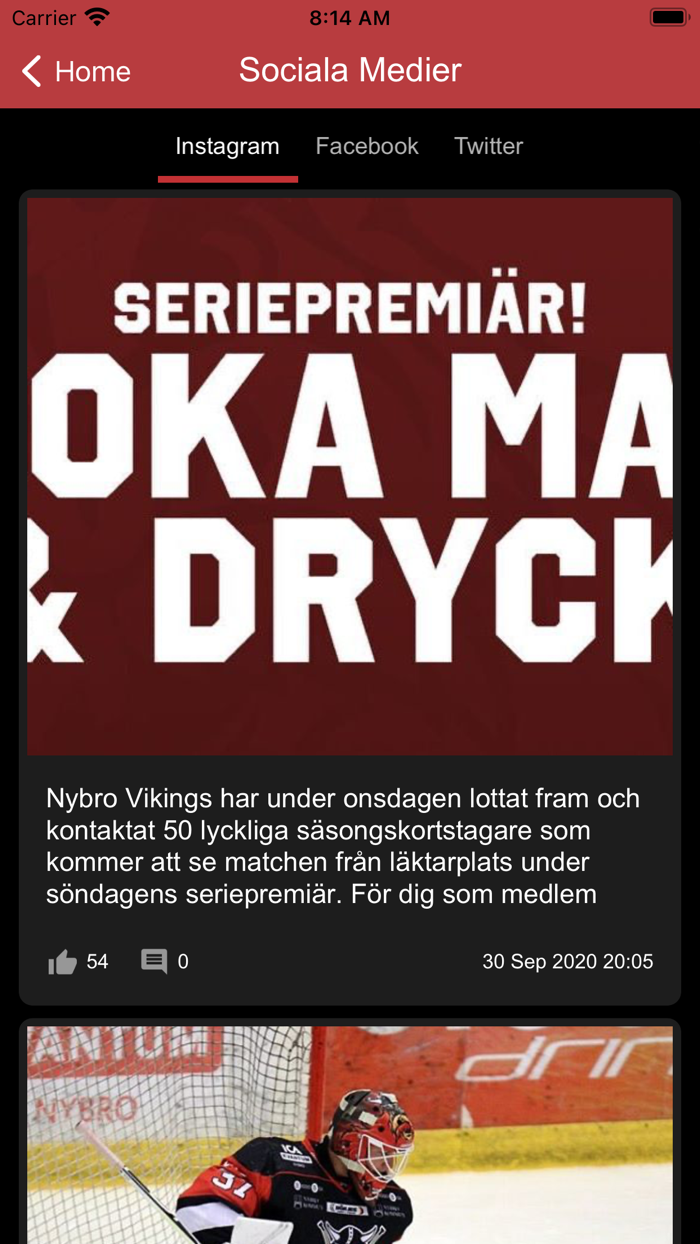 Nybro Vikings