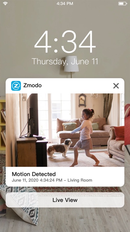 Zmodo screenshot-6