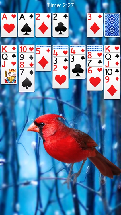 ⋆Solitaire⋆ screenshot-4