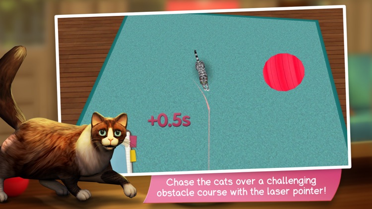 CatHotel - Play with Cute Cats screenshot-4