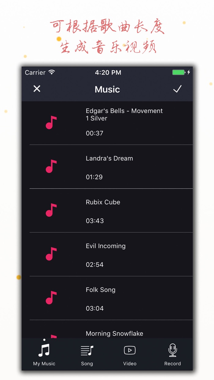 电子相册大师专业版