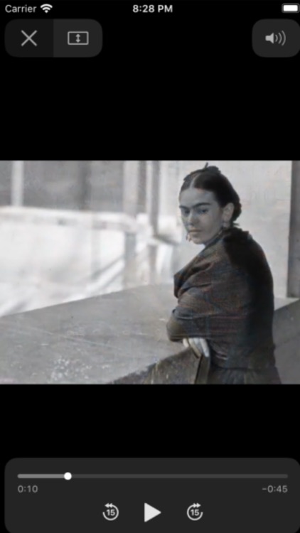 Frida Kahlo Preview screenshot-5