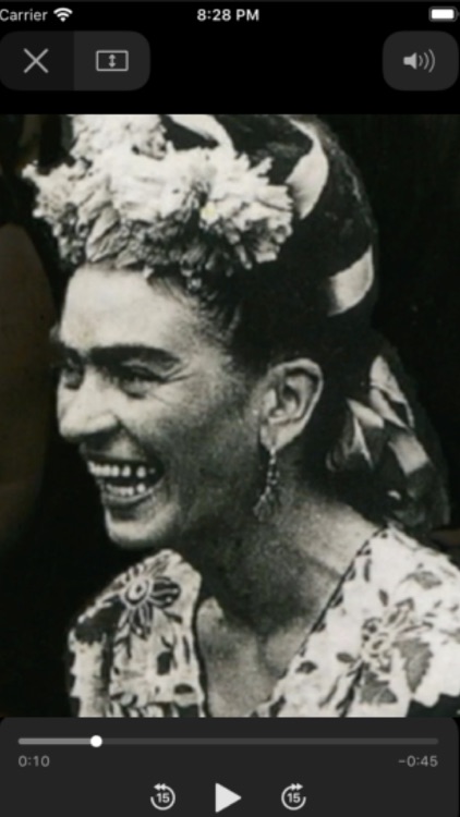 Frida Kahlo - The Exhibition screenshot-3