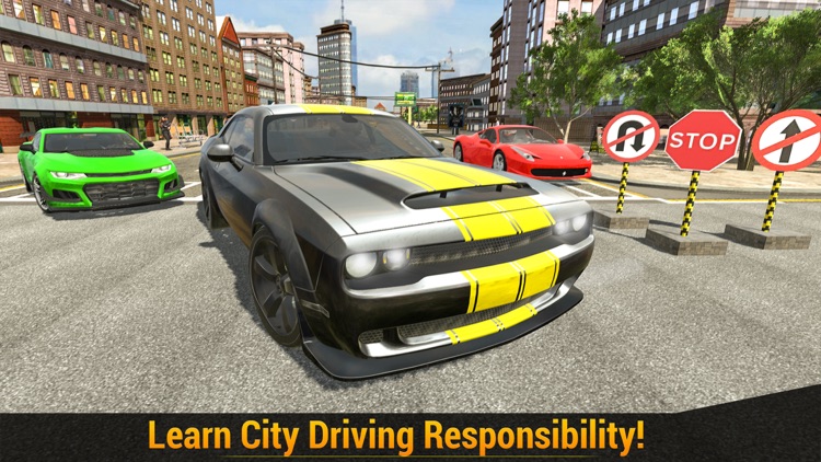 City Car Driving Academy 2020 screenshot-4