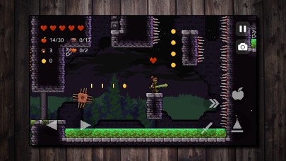 Screenshot from Apple Knight