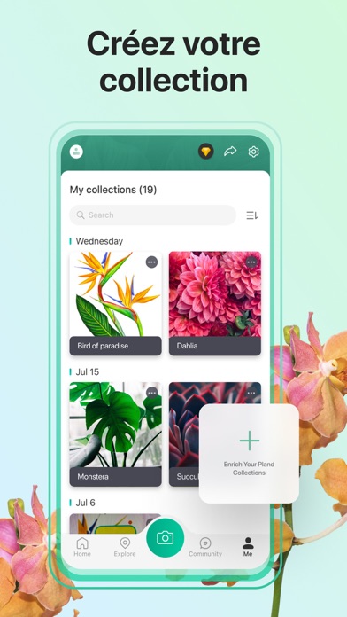 PictureThis-Identifier Plantes PictureThis-Identifier Plantes