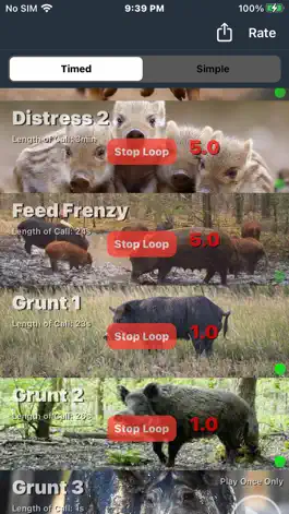 Game screenshot Wild Hog Hunting Calls apk