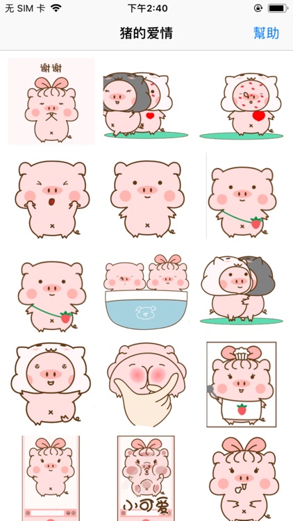 猪的爱情