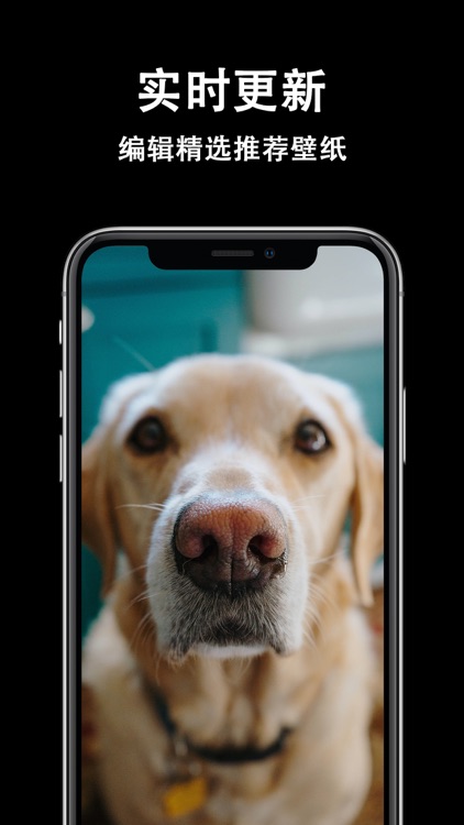 壁纸大全-超高清手机壁纸大全 screenshot-3