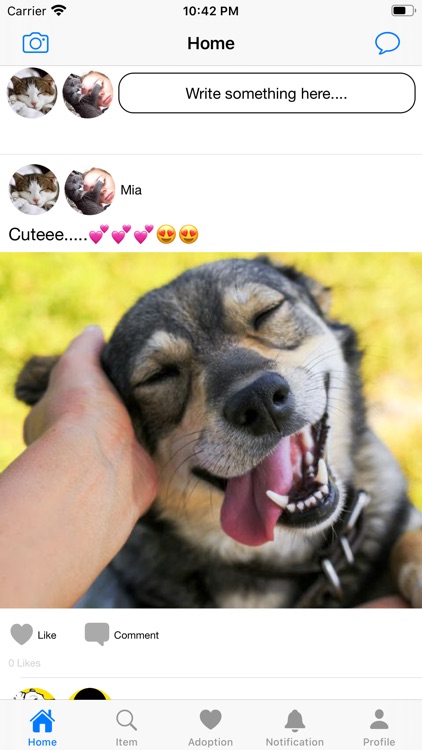 Pet's Heaven - Social Media