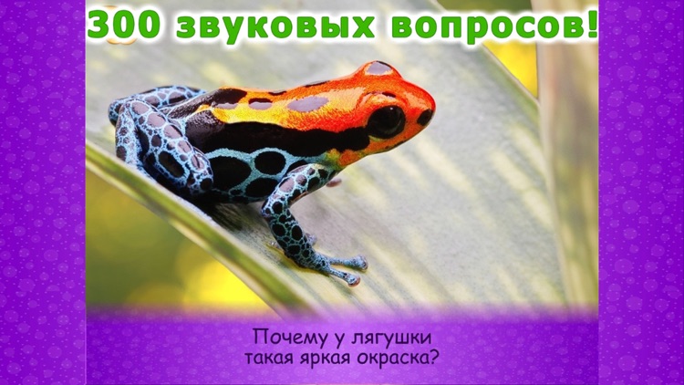 Животные для детей малышей 2! screenshot-3