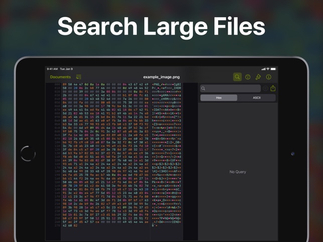 Hexer — Hex File Viewer截图