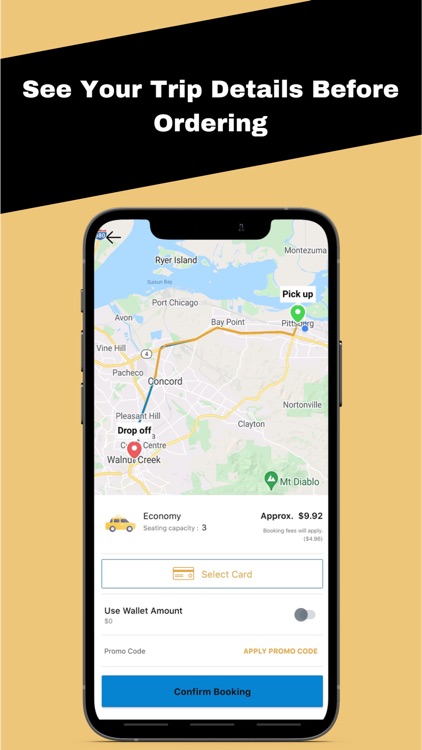 Pikup Taxi screenshot-3