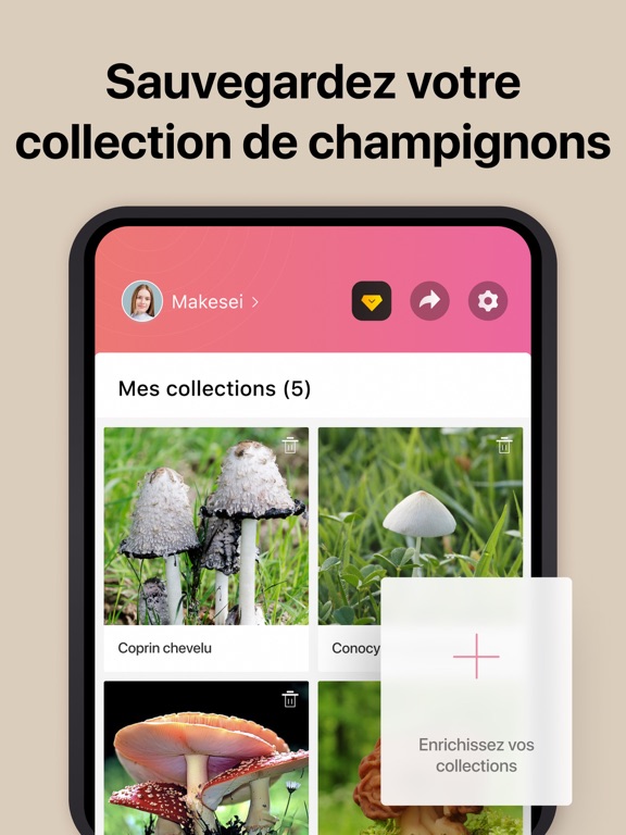Picture Mushroom - Mushroom ID Picture Mushroom - Mushroom ID