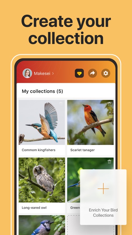Picture Bird: Birds Identifier screenshot-6
