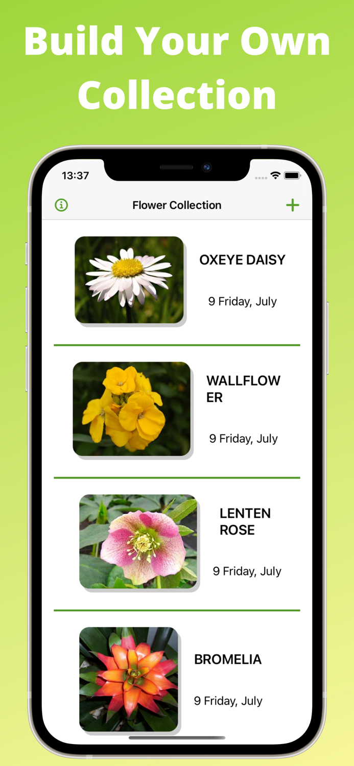 Flower identification, Blossom