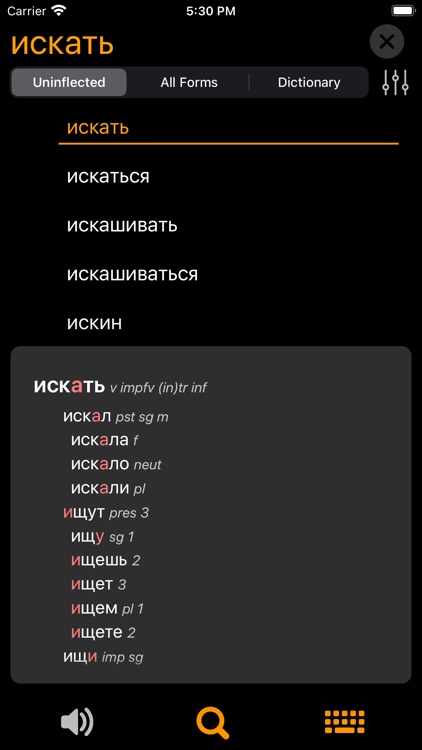 RuFlex Pro Russian Inflection screenshot-4