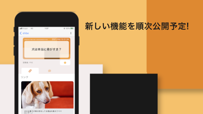 shibe(シービ)掲示板紹介画像3