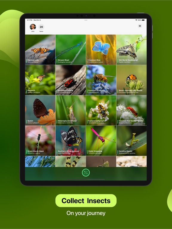 Insect Identifier screenshot 10