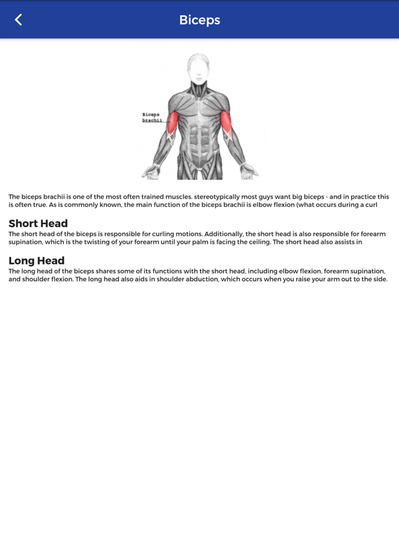 MuscleWiki App MuscleWiki App
