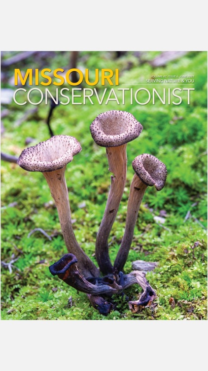 MO Conservationist Magazine screenshot-1
