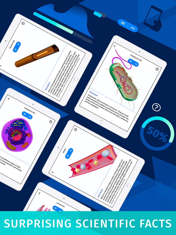 Bacteria AR Zoom Cell Anatomy