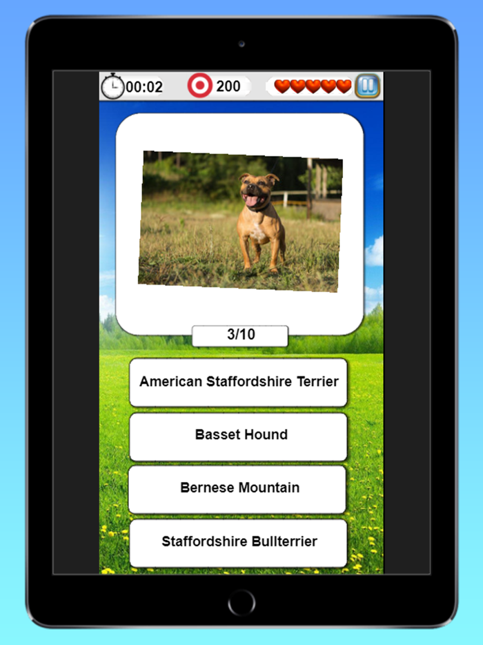 Cats  Dogs Quiz-Guess Breeds