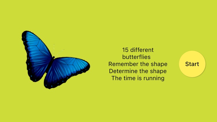 Shapes of Butterflies screenshot-5