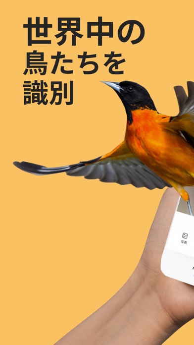 定番アプリのPicture Bird - 撮ったら、判る--1秒鳥図鑑